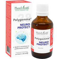 Polygemma 28 (Neuro Protect) 50ml PLANTEXTRAKT