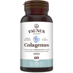 Colagenus 60cps FAUNUS PLANT