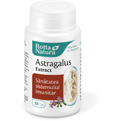 Astragalus Extract 30cps ROTTA NATURA