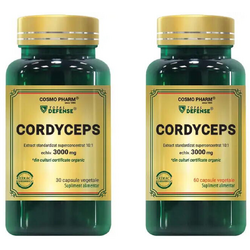 Cordyceps 300mg 60cps + 30cps COSMOPHARM