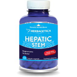 Hepatic Stem 120Cps HERBAGETICA