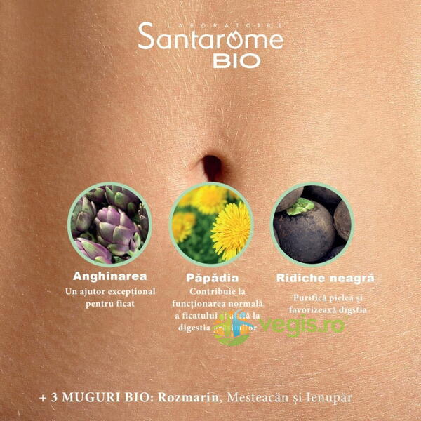 Hepatonic Ecologic/Bio 20fiole, SANTAROME, Fiole, 6, Vegis.ro