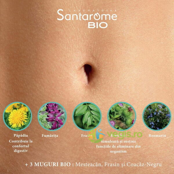 Detox Ecologic/Bio 20fiole, SANTAROME, Fiole, 6, Vegis.ro