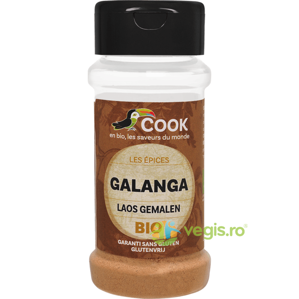 Pudra de Galangal fara Gluten (Solnita) Ecologica/Bio 25g, COOK, Condimente, 1, Vegis.ro