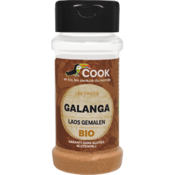 Pudra de Galangal fara Gluten (Solnita) Ecologica/Bio 25g COOK