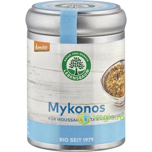 Condiment Mykonos pentru Gyros si Feta Demeter Ecologic/Bio 65g, LEBENSBAUM, Condimente, 1, Vegis.ro