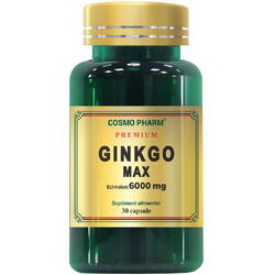 Ginkgo Max 120mg 30cps COSMOPHARM