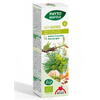 Mix 8 din Plante pentru Digestie si Stomac Plat Ecologic/Bio 50ml PHYTO BIOPOLE