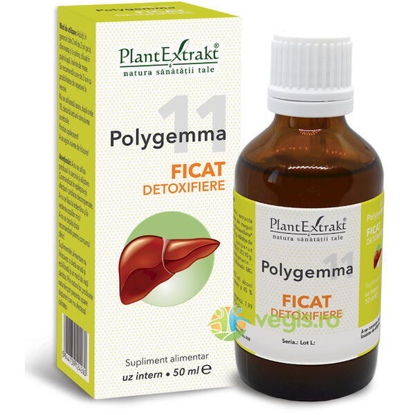 Polygemma 11 (Ficat-Detoxifiere) 50ml, PLANTEXTRAKT, Gemoderivate, 1, Vegis.ro