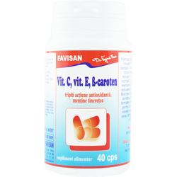 Vitamina C, Vitamina E si B-Caroten 40cps FAVISAN