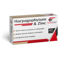 Harpagophytum si Zinc 40cps FARMACLASS