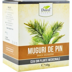 Ceai de Muguri de Pin 50g DOREL PLANT