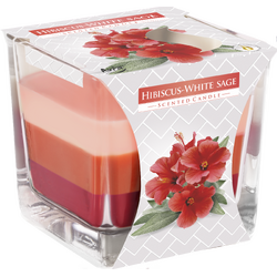 Lumanare Parfumata in Pahar Trei Culori cu Aroma de Hibiscus si Salvie Alba BISPOL