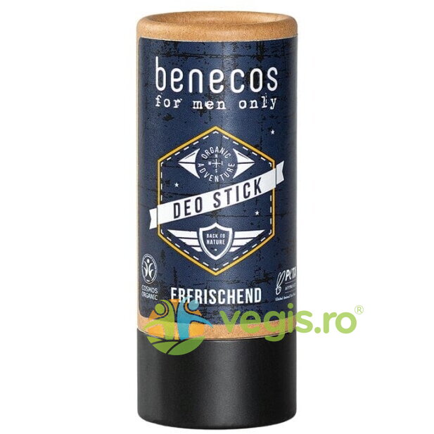 Deodorant Stick pentru Barbati cu Bicarbonat Ecologic/Bio 40g 40g Cosmetice
