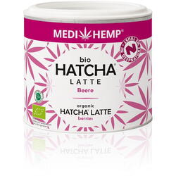 Hatcha Latte cu Fructe Ecologica/Bio 45g MEDIHEMP