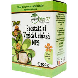 Ceai Prostata si Vezica Urinara NP9 100g NATURA PLANT
