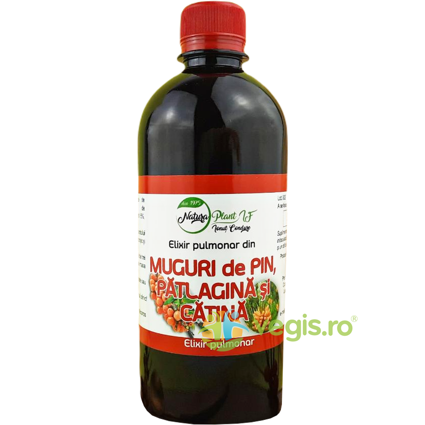 Elixir Pulmonar din Muguri de Pin, Patlagina si Catina 200ml