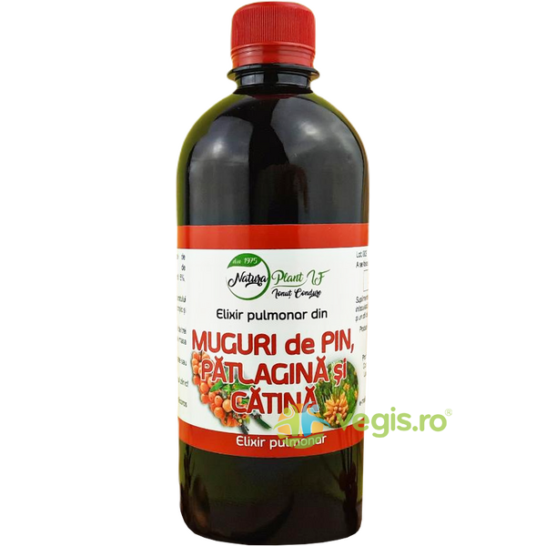 Elixir Pulmonar din Muguri de Pin, Patlagina si Catina 200ml, NATURA PLANT, Siropuri, Sucuri naturale, 1, Vegis.ro