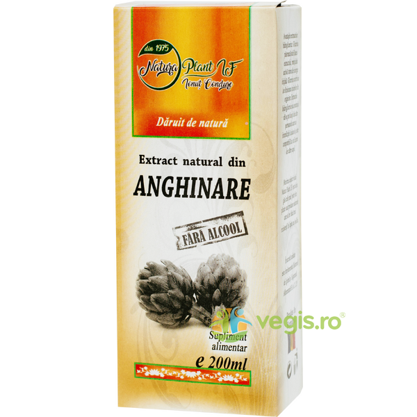 Extract Natural din Anghinare fara Alcool 200ml, NATURA PLANT, Tincturi simple, 1, Vegis.ro