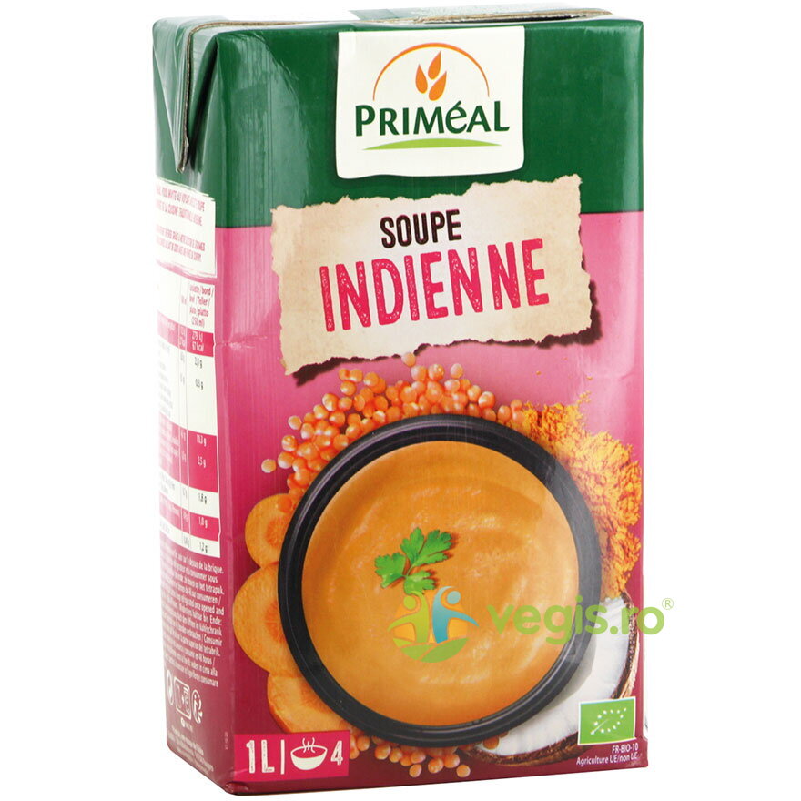 Supa Crema in Stil Indian Ecologica/Bio 1L