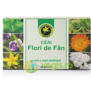 Ceai Flori de Fan 20dz, HYPERICUM, Ceaiuri doze, 1, Vegis.ro