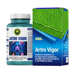 Artro Vigor 60cps HYPERICUM