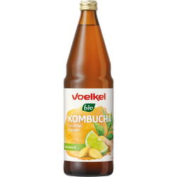 VOELKEL, Bautura Kombucha cu Limete si Ghimbir Ecologica/Bio 750ml, Vegis.ro