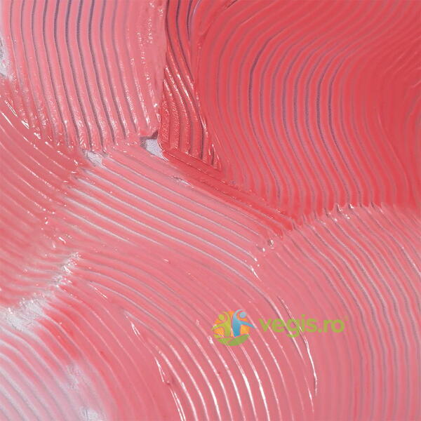 Gloss Hranitor cu Efect Volumizant Dreamy Lip Plump, Nuanta Dreamy Mauve 1.5g, PROFUSION COSMETICS, Machiaje naturale, 10, Vegis.ro