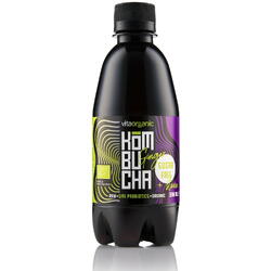 VITA ORGANIC, Kombucha cu Ghimbir Indulcita cu Stevie Ecologica/Bio 330ml, Vegis.ro