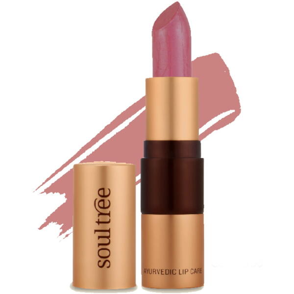 Ruj Natural Ayurvedic Pink Nude (Nuanta 500) 4g, SOULTREE, Machiaje naturale, 3, Vegis.ro