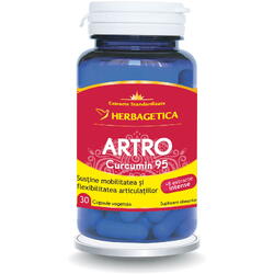 Artro Curcumin 95 30cps HERBAGETICA