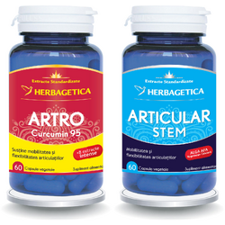 Pachet Artro Curcumin 95 60cps + Articular Stem 60cps (50% reducere la al doilea produs) HERBAGETICA